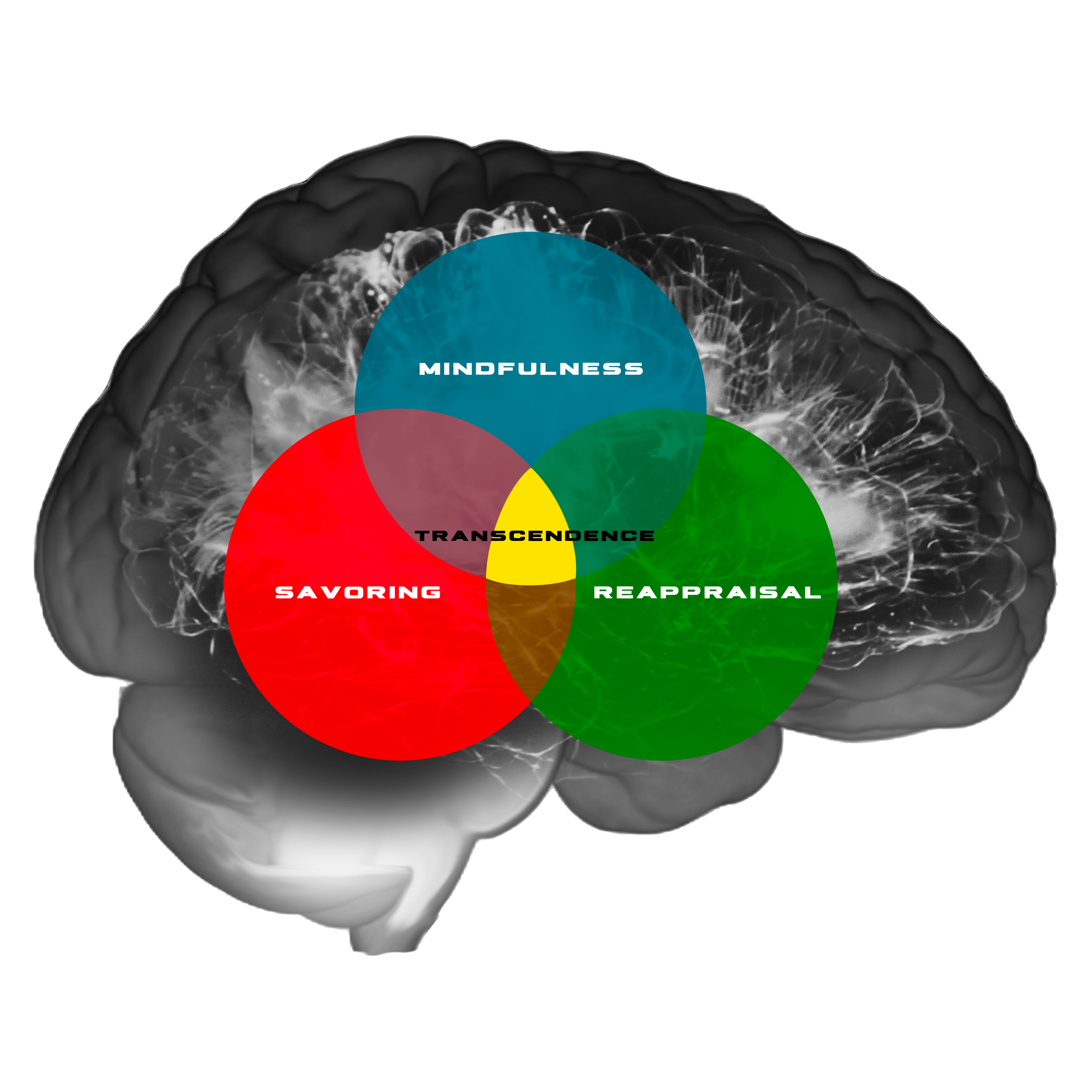 Uncovering the Surprising Link Between Mindfulness and Stress