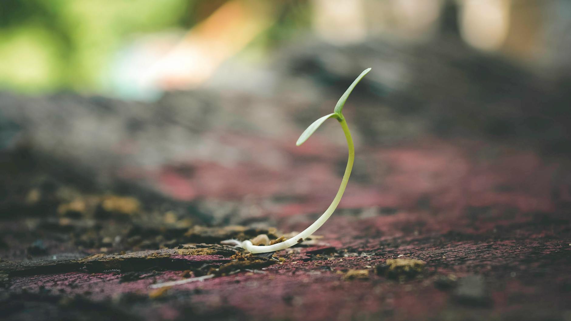 Embracing Change: How to Cultivate Growth in Your Life