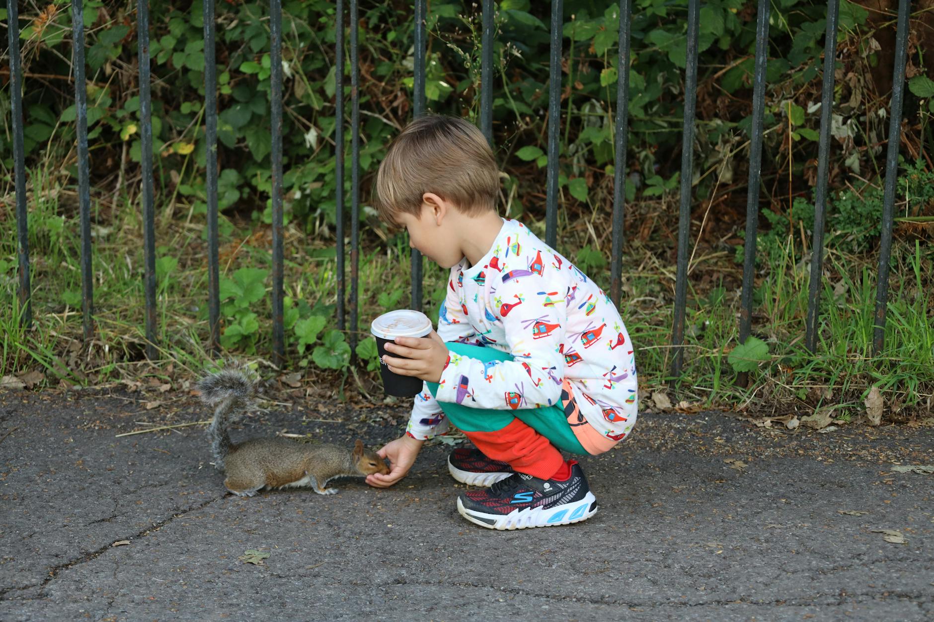 Boy feeding squirrel