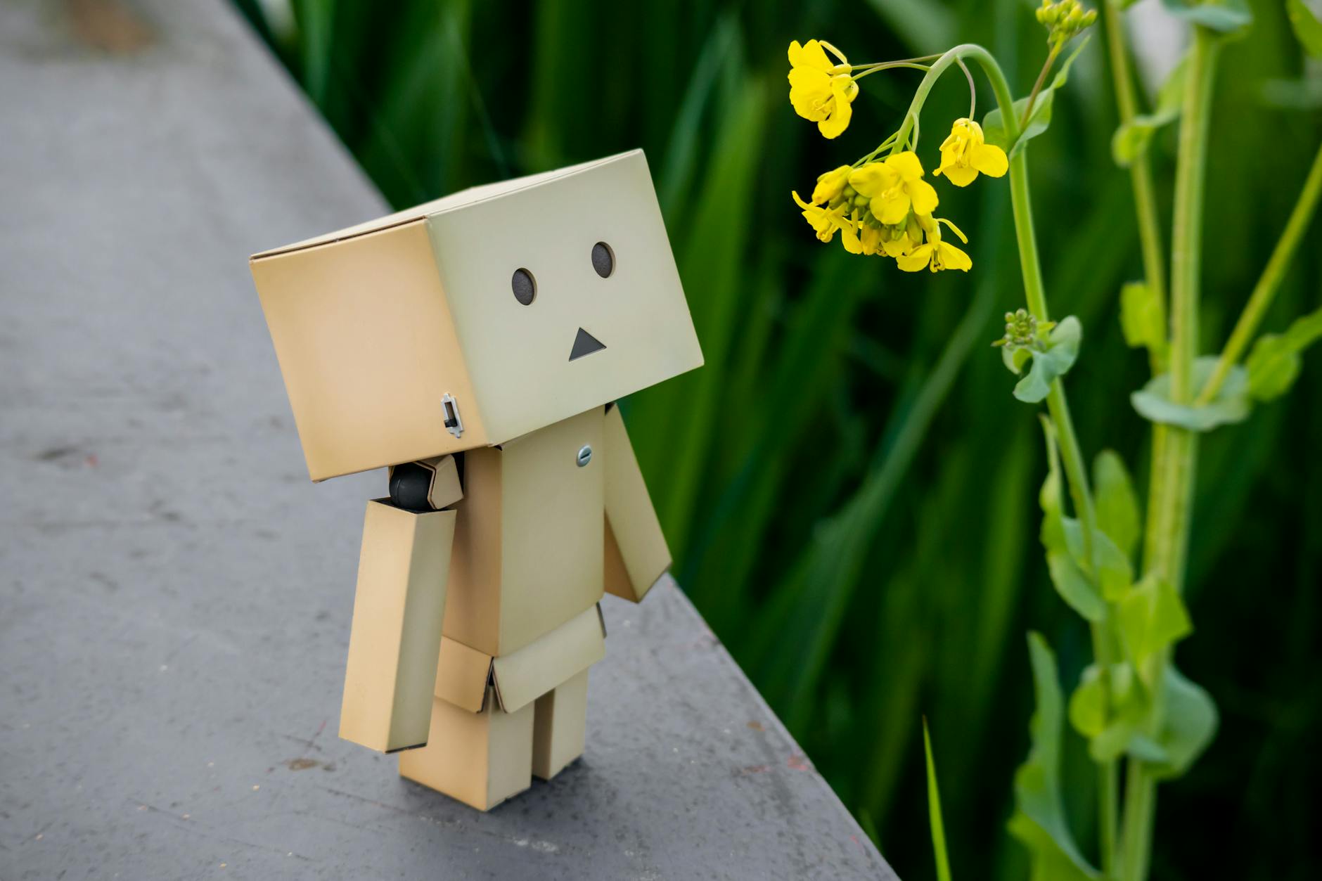 Close-up of a Small Cardboard Figurine Standing next to a Flower