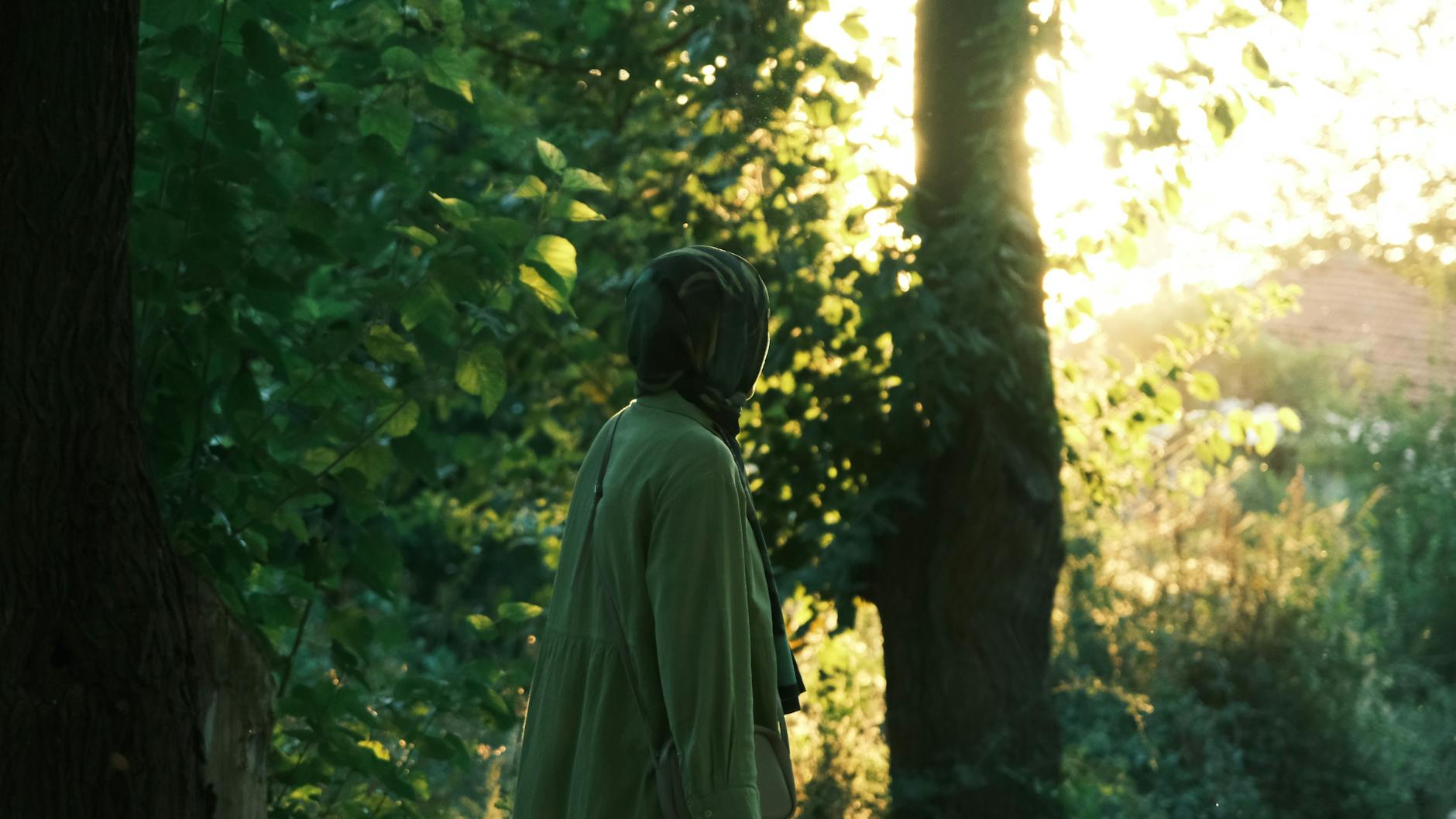 Woman in Nature at Sunset with Sunlight