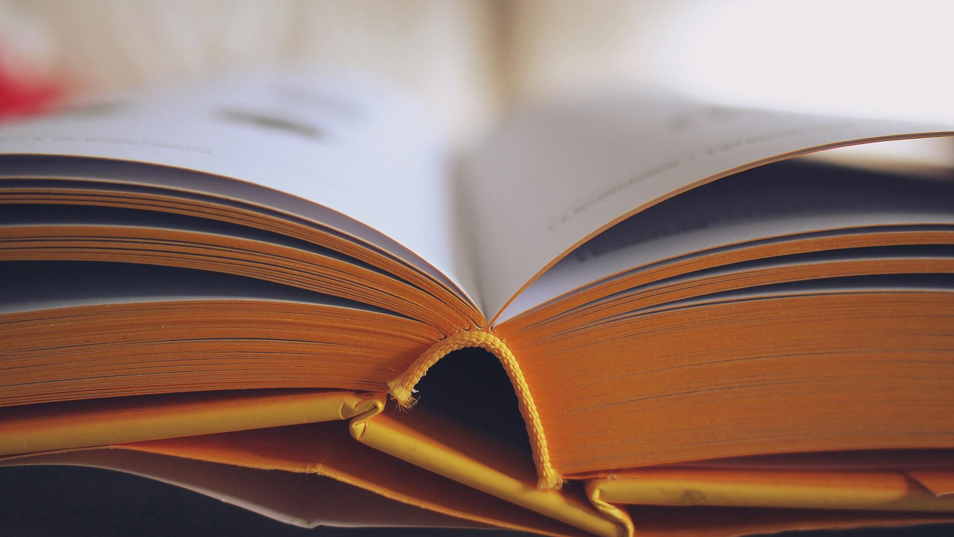 Selective Focus Photography of Opened Book