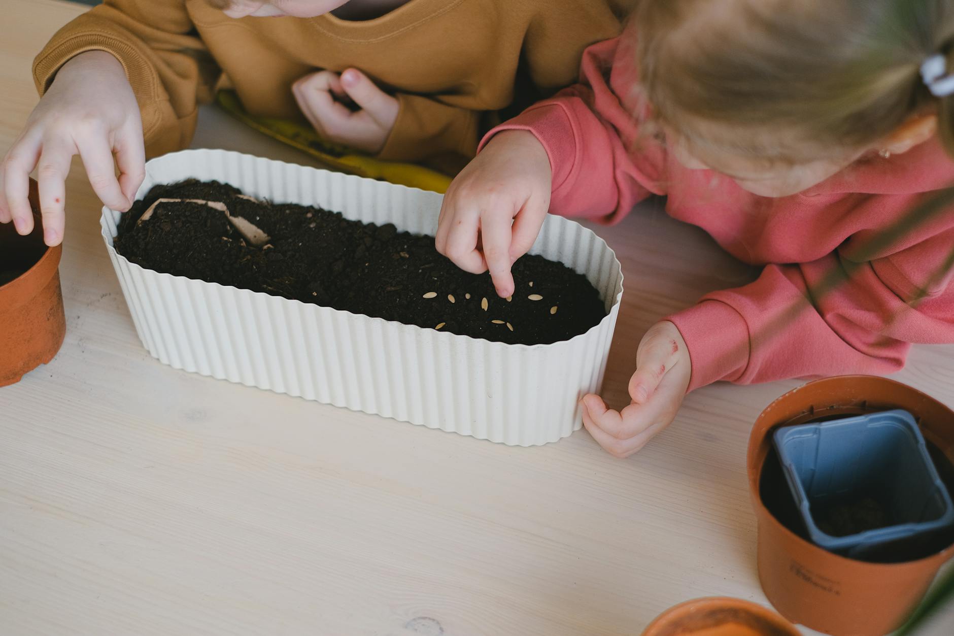 Girl Putting Seeds on a Pot